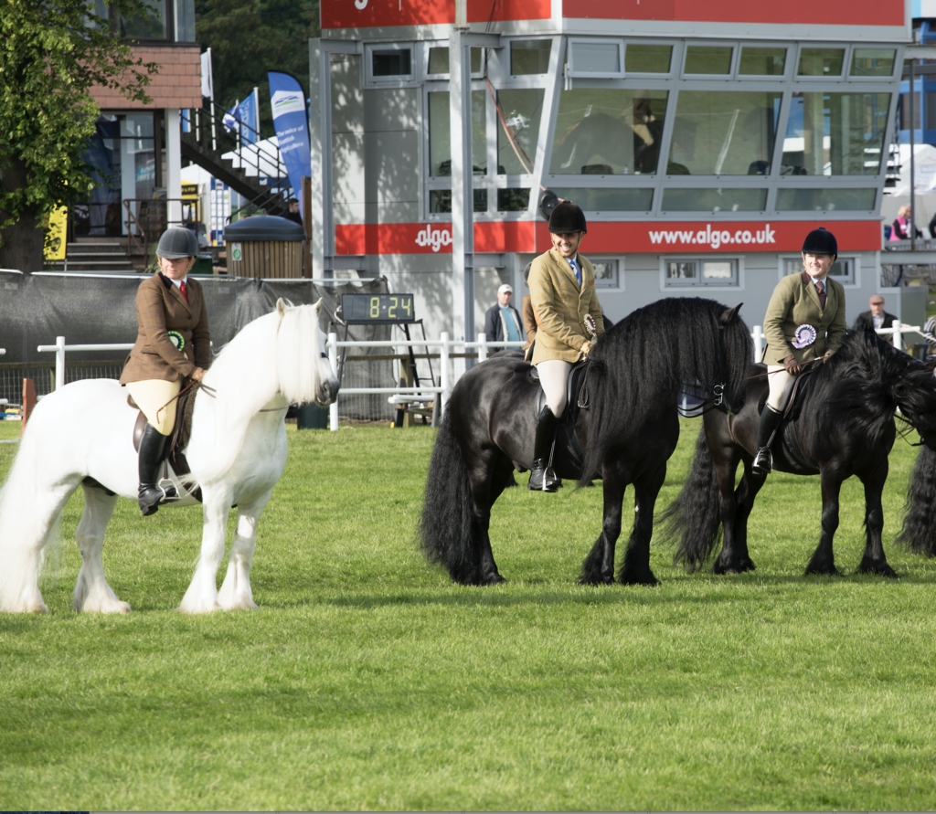 Judges Announced For 178th Royal Highland Show