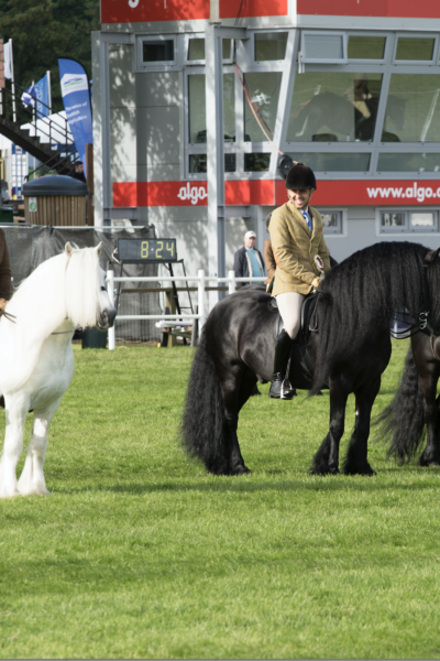 Judges Announced For 178th Royal Highland Show